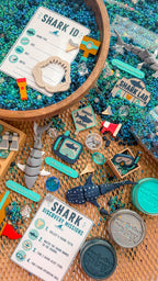 Shark Discovery Collection (PRE-ORDER)