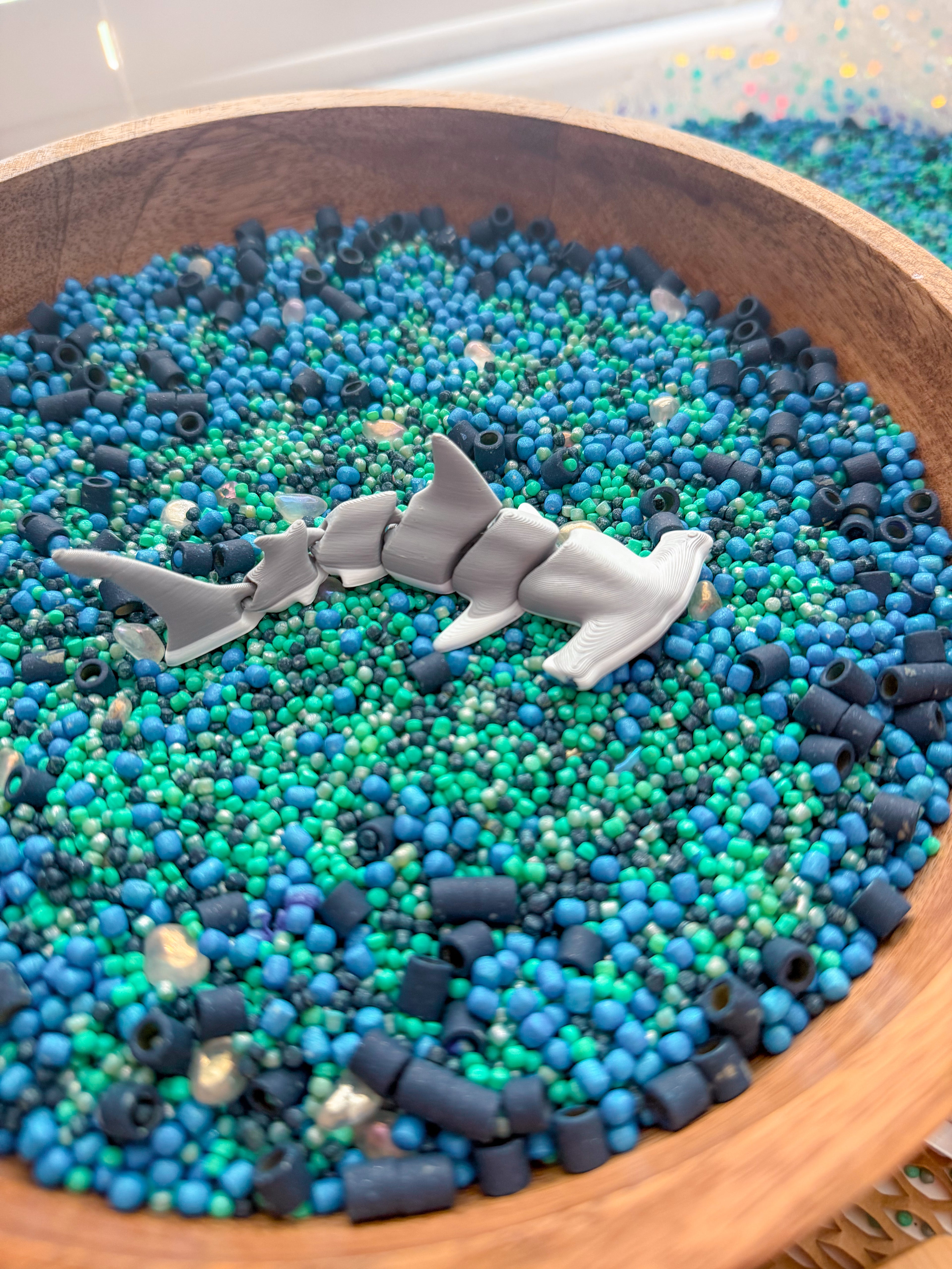 Shark Discovery Collection (PRE-ORDER)