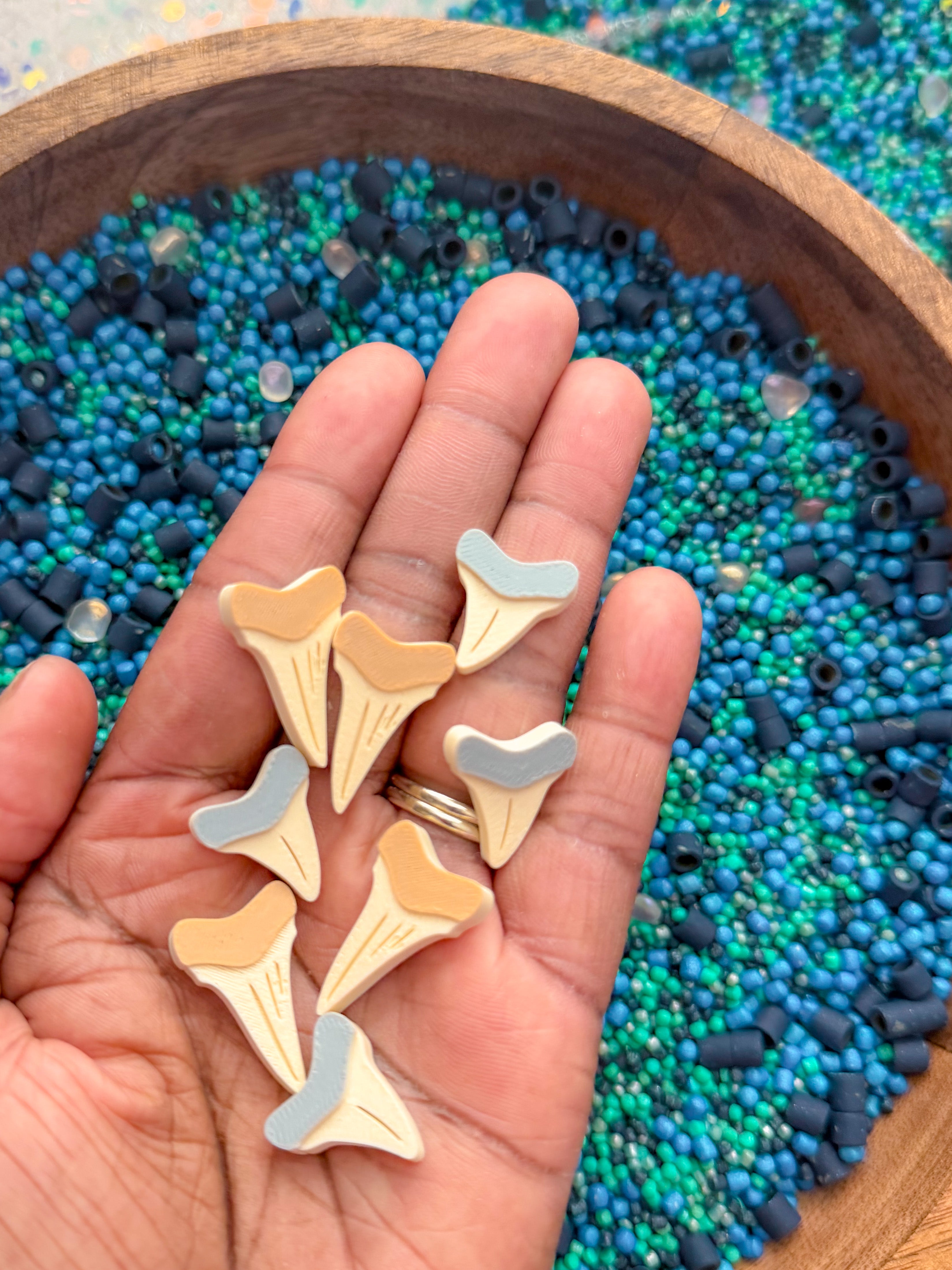 Shark Discovery Collection (PRE-ORDER)