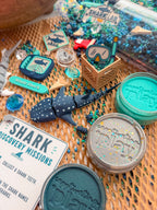 Shark Discovery Collection (PRE-ORDER)