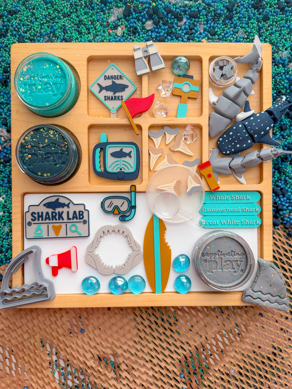 Shark Discovery Collection