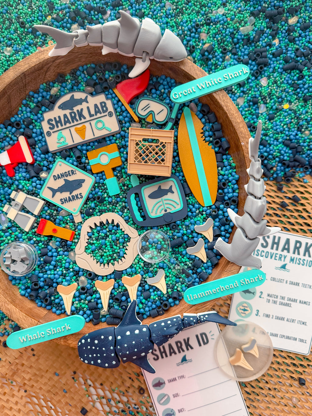 Shark Discovery Collection (PRE-ORDER)