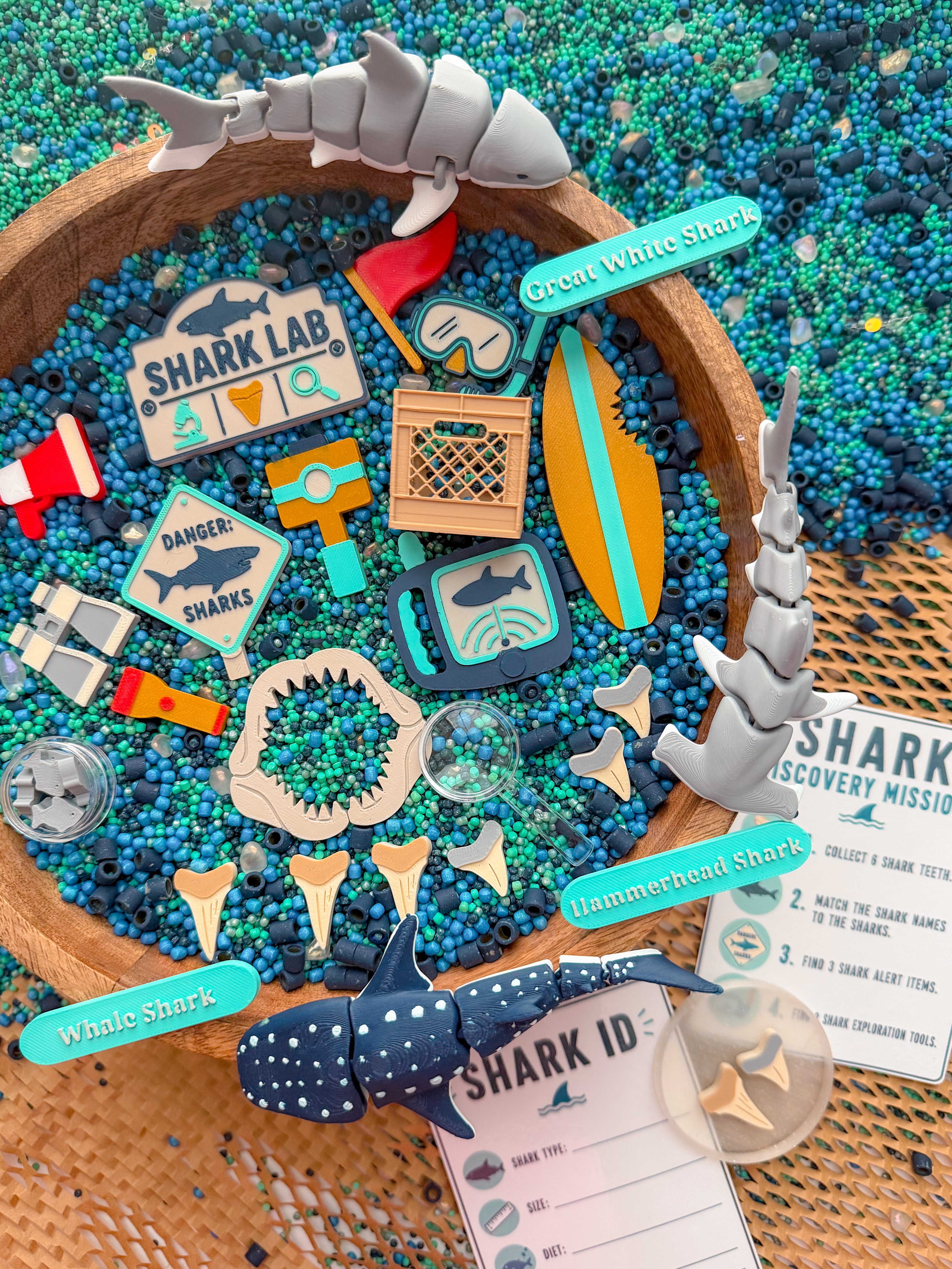 Shark Discovery Collection (PRE-ORDER)