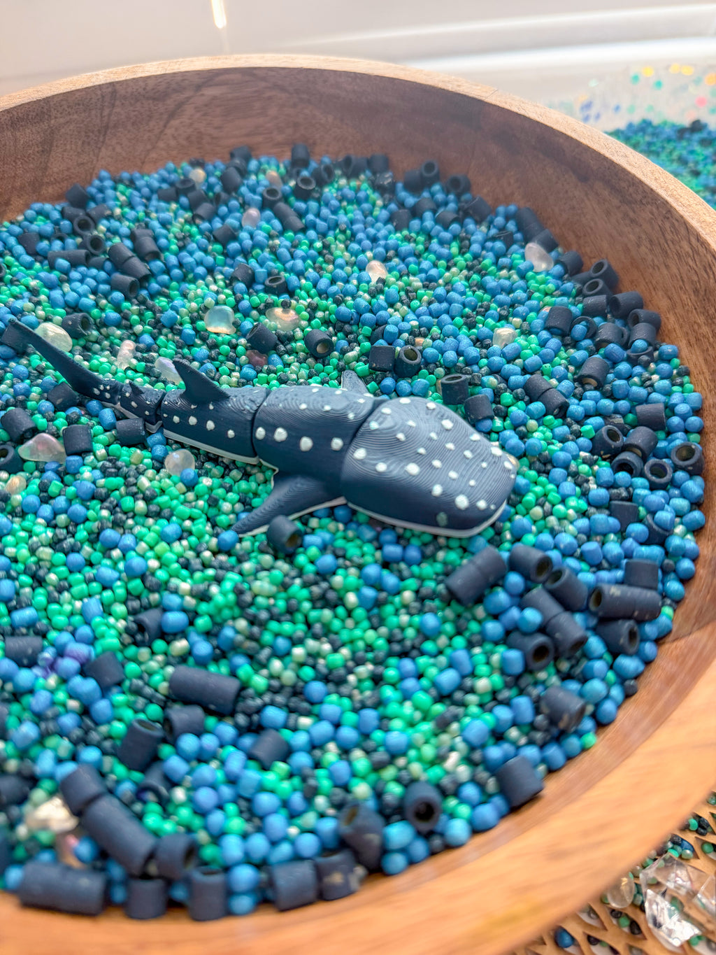 Shark Discovery Collection