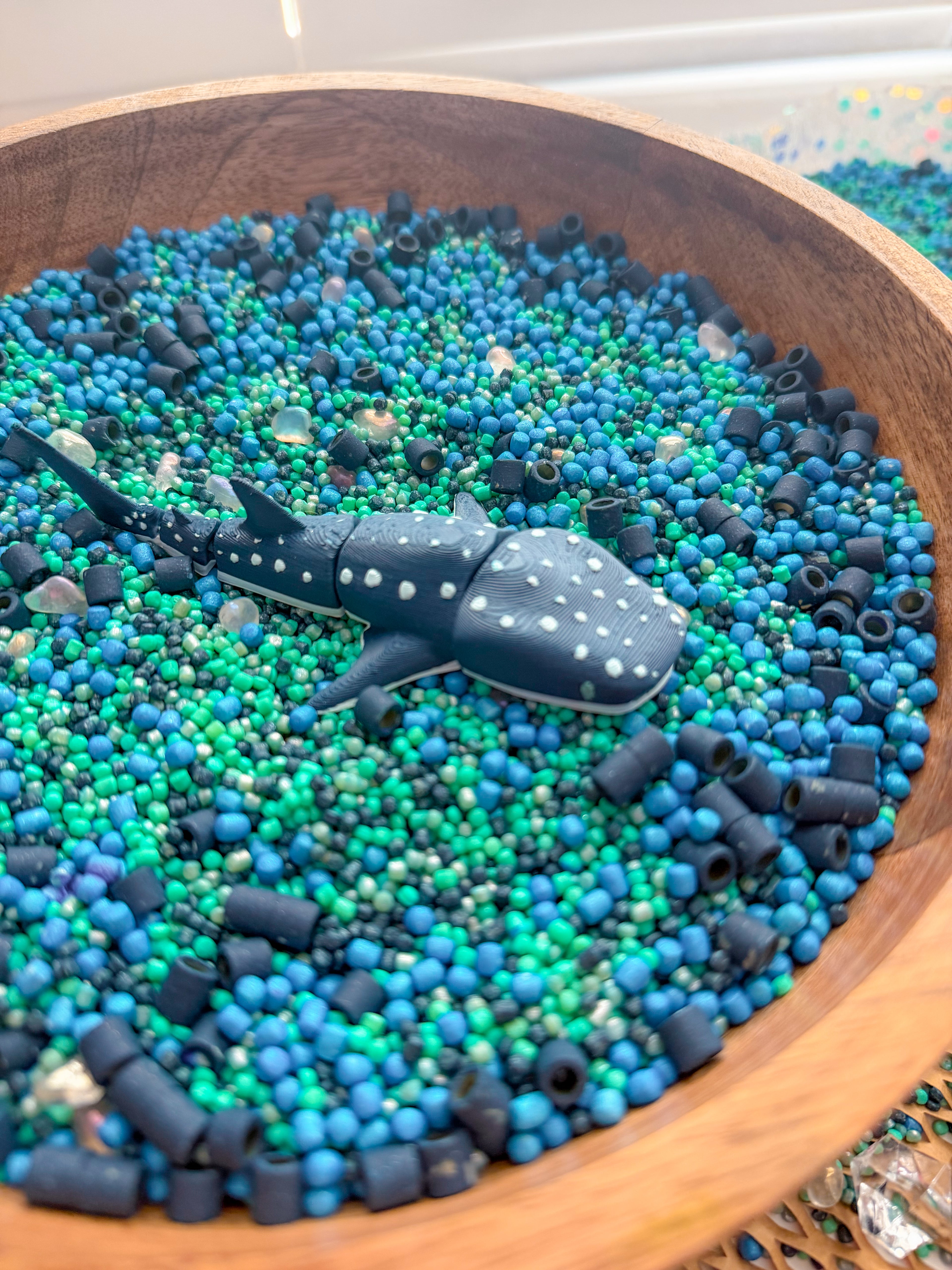Shark Discovery Collection (PRE-ORDER)