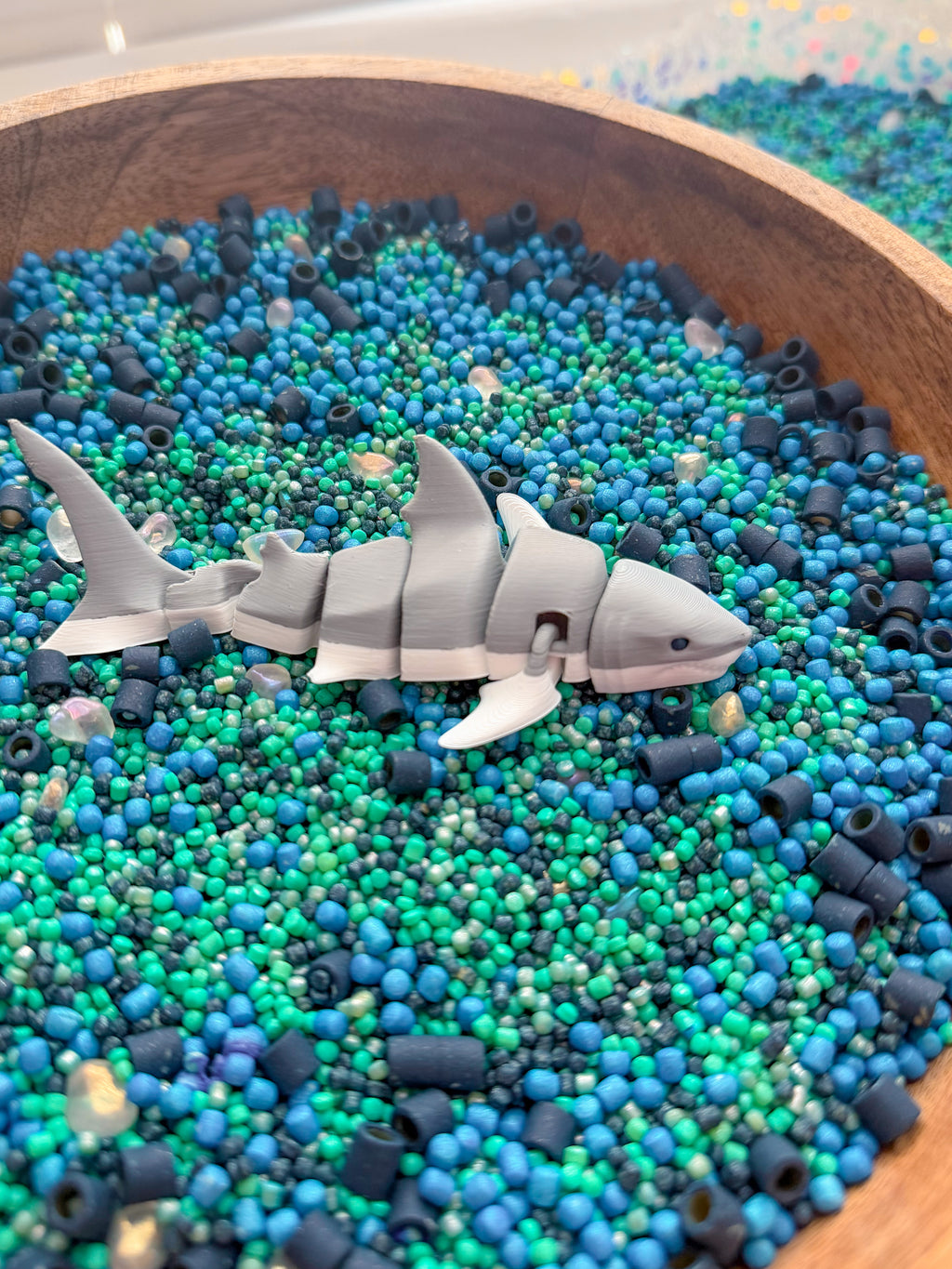 Shark Discovery Collection