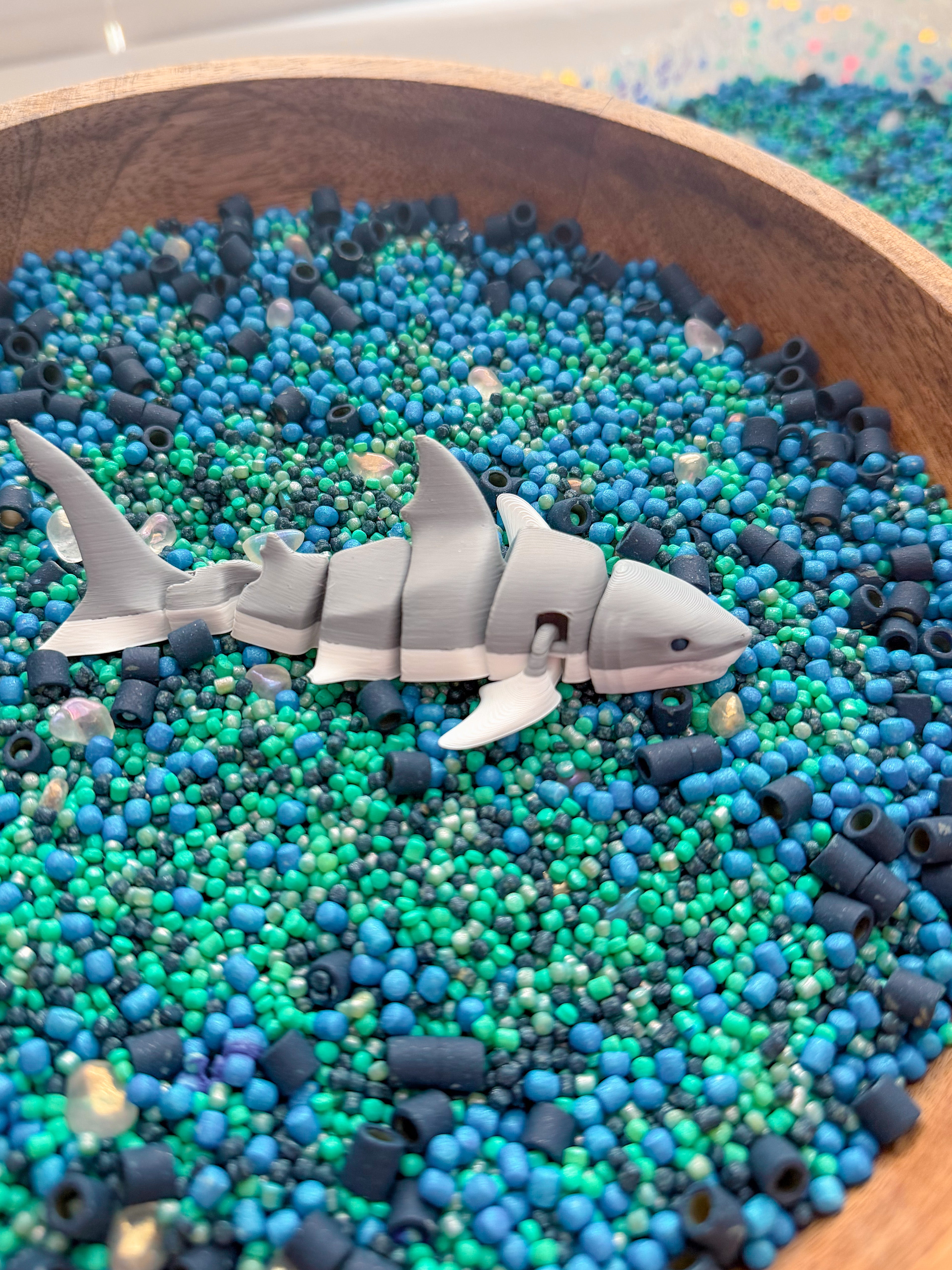 Shark Discovery Collection (PRE-ORDER)