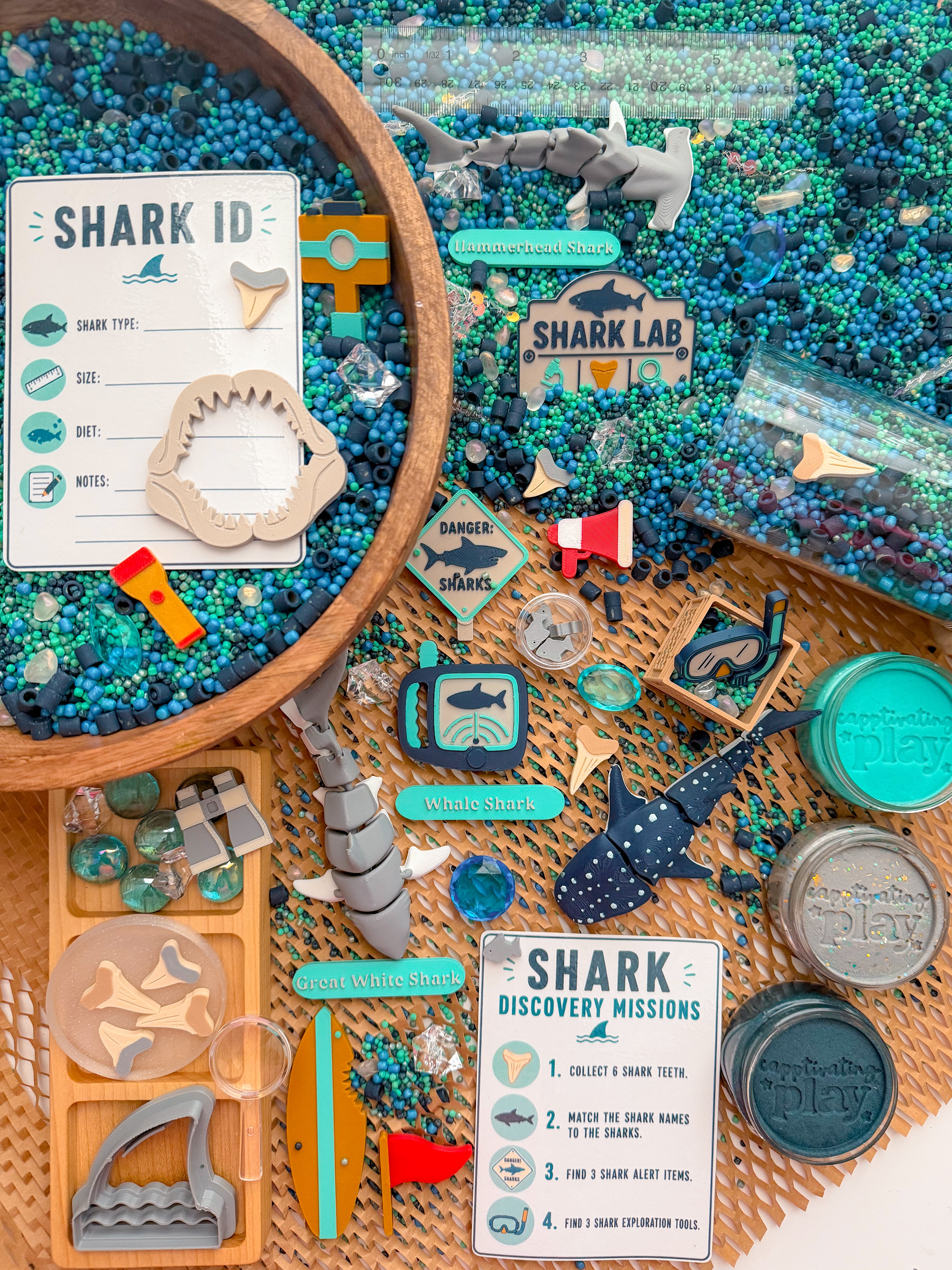 Shark Discovery Collection (PRE-ORDER)