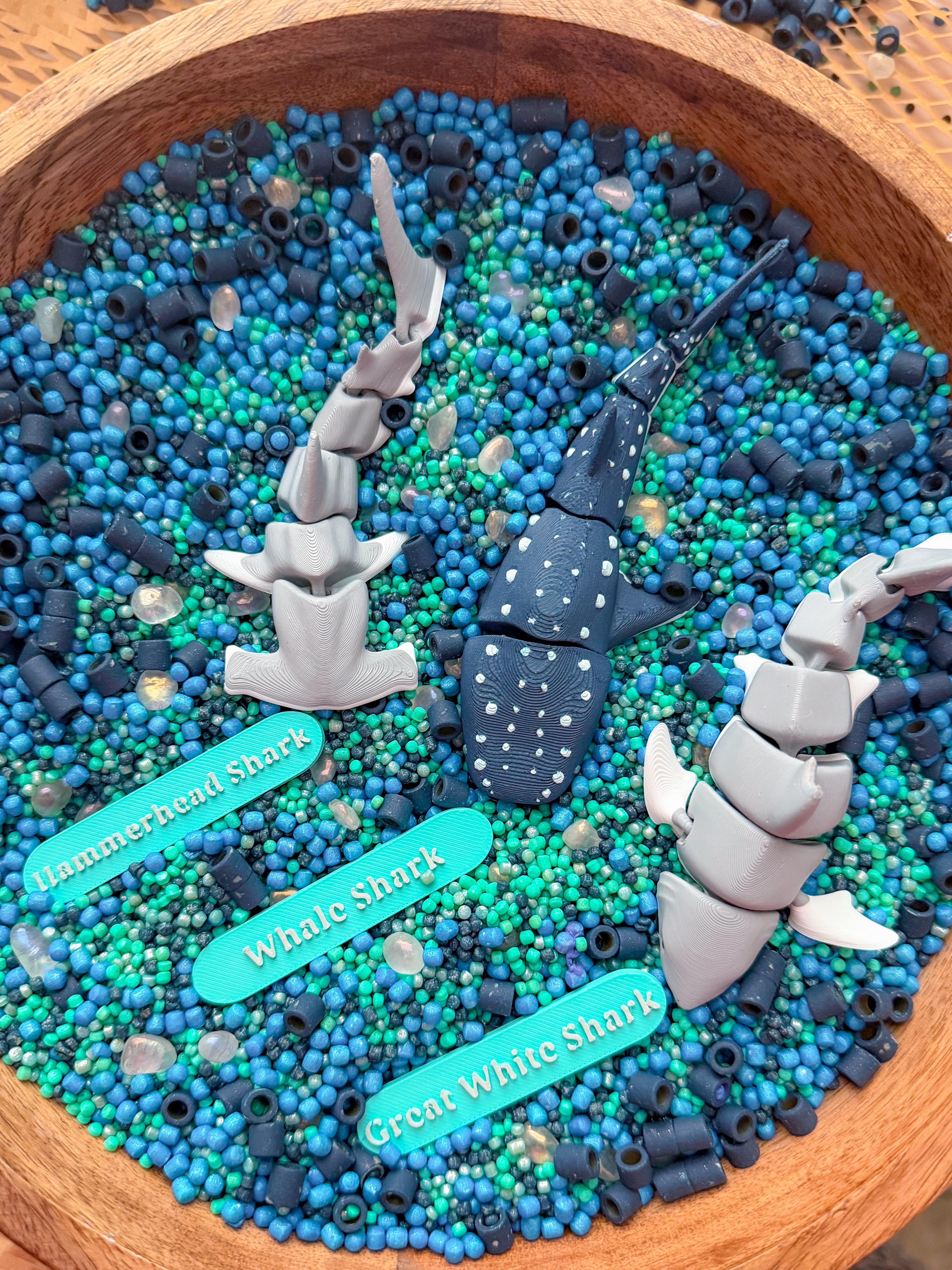 Shark Discovery Collection (PRE-ORDER)