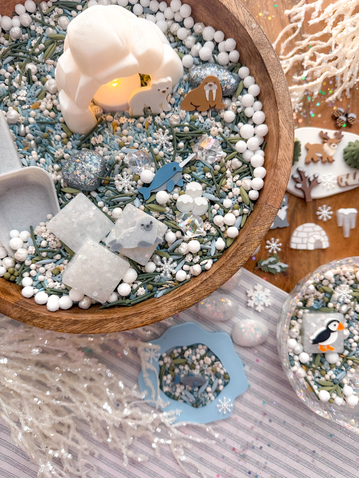 Arctic Wonders Collection (PRE-ORDER)