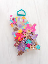 Load image into Gallery viewer, Fairy Garden Mini Kit
